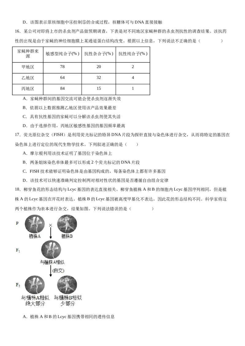 专题二遗传与进化（选择题特训）-2024高考二轮复习专题训练（全国可用）（解析版）_2024年新高考资料_2.2024二轮复习_2024年高考生物二轮复习专题训练（全国通用）