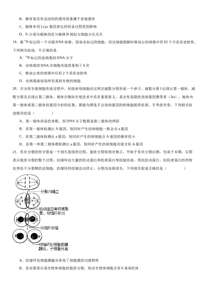 专题二遗传与进化（选择题特训）-2024高考二轮复习专题训练（全国可用）（解析版）_2024年新高考资料_2.2024二轮复习_2024年高考生物二轮复习专题训练（全国通用）