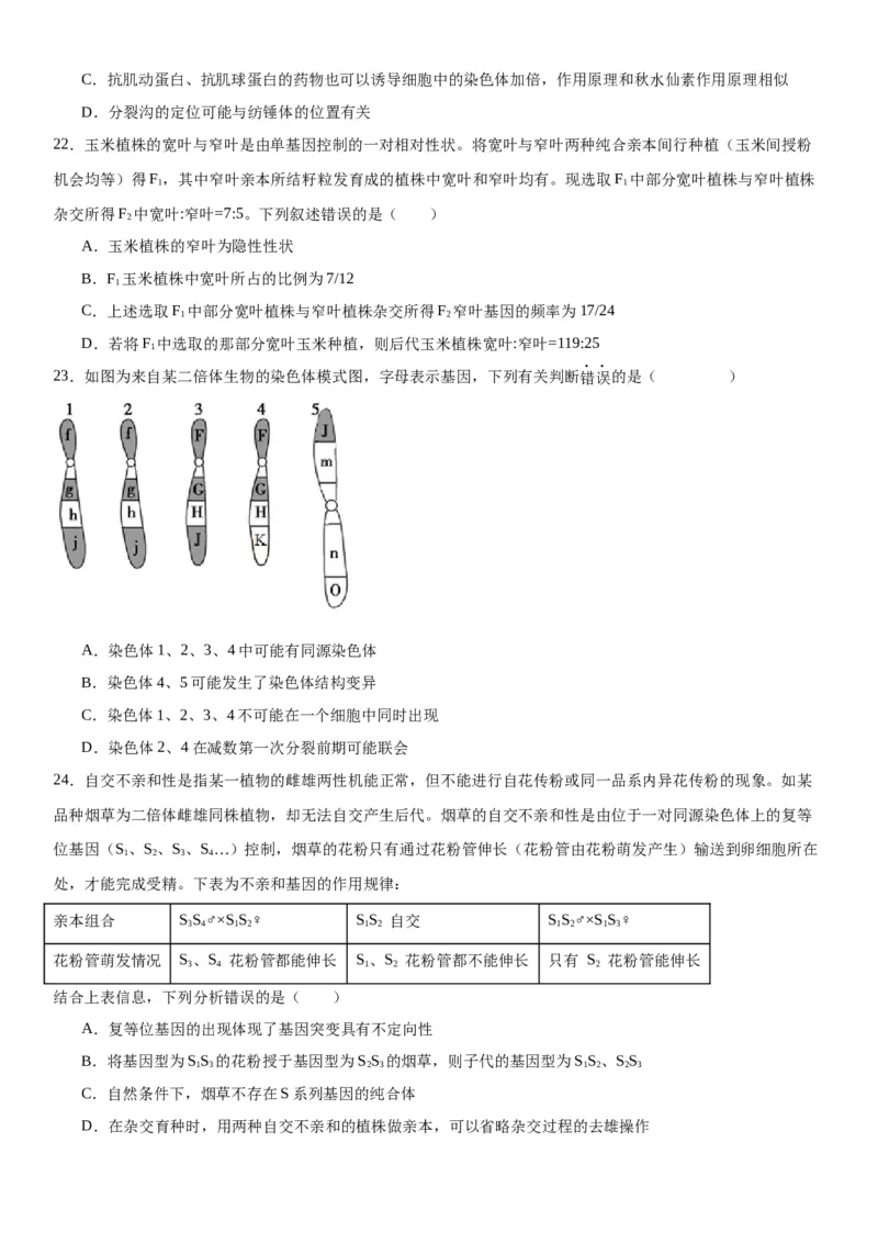 专题二遗传与进化（选择题特训）-2024高考二轮复习专题训练（全国可用）（解析版）_2024年新高考资料_2.2024二轮复习_2024年高考生物二轮复习专题训练（全国通用）