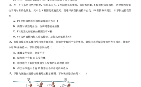 专题二遗传与进化（选择题特训）-2024高考二轮复习专题训练（全国可用）（解析版）_2024年新高考资料_2.2024二轮复习_2024年高考生物二轮复习专题训练（全国通用）