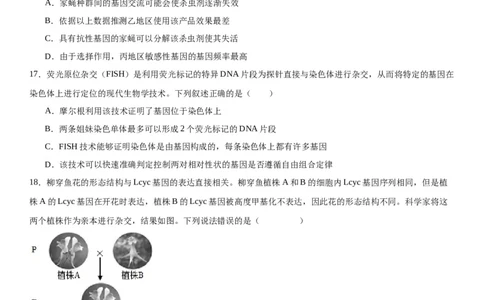 专题二遗传与进化（选择题特训）-2024高考二轮复习专题训练（全国可用）（解析版）_2024年新高考资料_2.2024二轮复习_2024年高考生物二轮复习专题训练（全国通用）