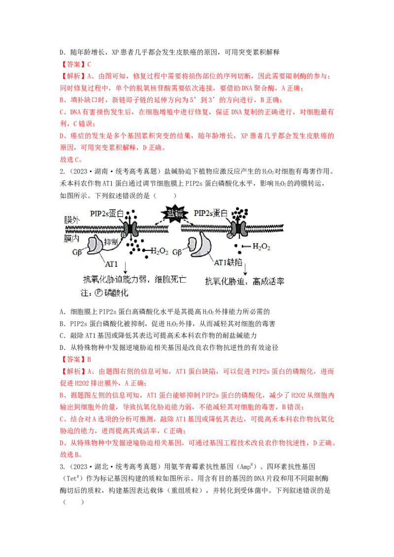 专题32基因工程（串讲）（解析版）_2024年新高考资料_1.2024一轮复习_备战2024年高考生物一轮复习串讲精练（新高考专用）