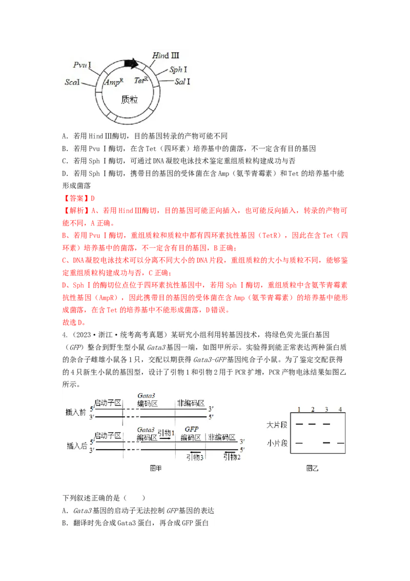 专题32基因工程（串讲）（解析版）_2024年新高考资料_1.2024一轮复习_备战2024年高考生物一轮复习串讲精练（新高考专用）