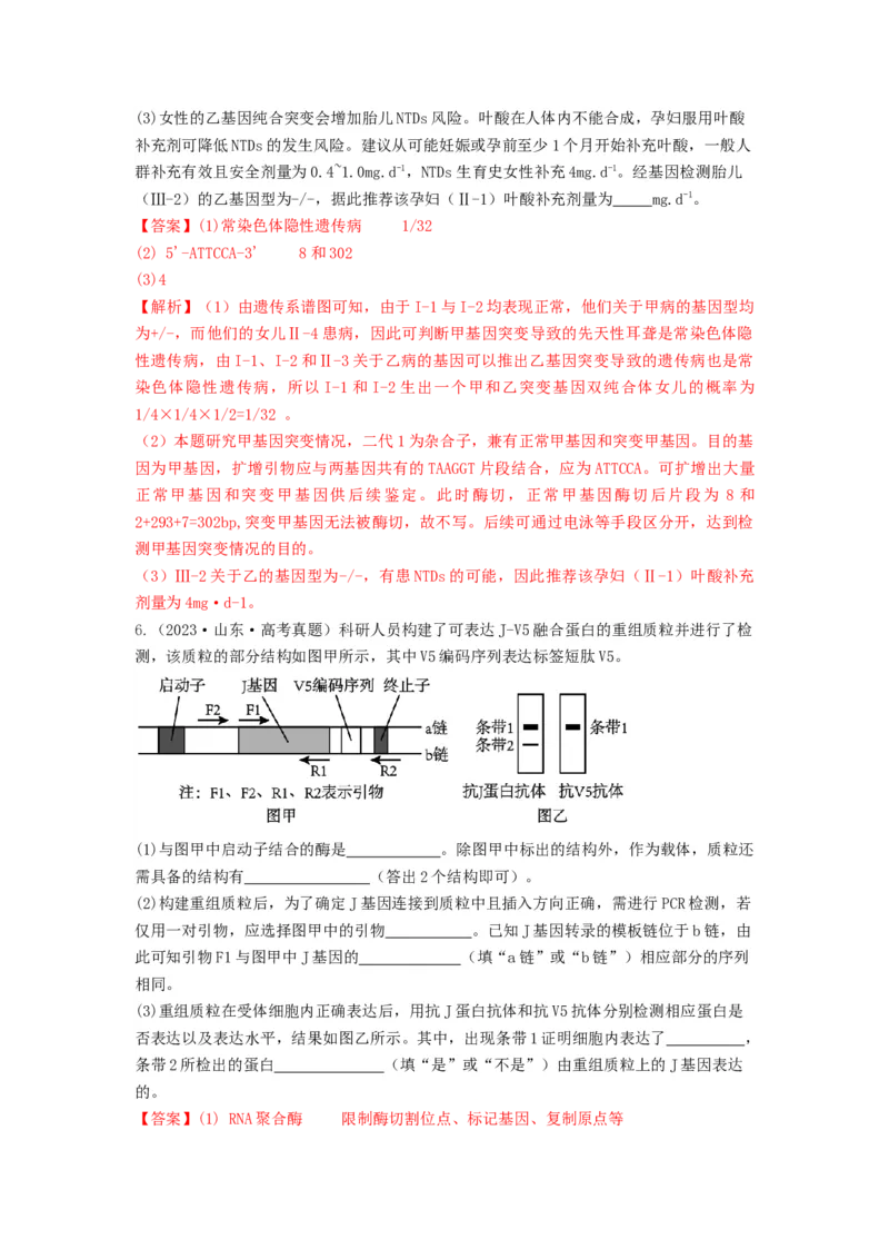 专题32基因工程（串讲）（解析版）_2024年新高考资料_1.2024一轮复习_备战2024年高考生物一轮复习串讲精练（新高考专用）