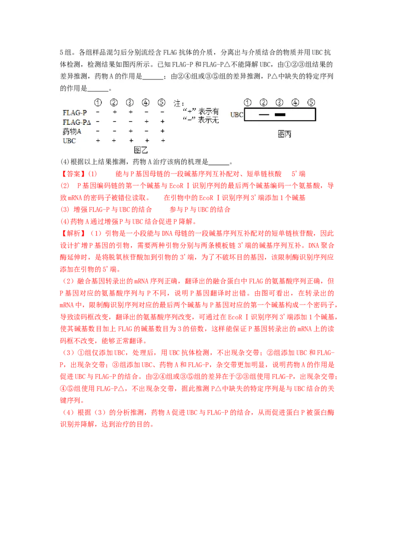 专题32基因工程（串讲）（解析版）_2024年新高考资料_1.2024一轮复习_备战2024年高考生物一轮复习串讲精练（新高考专用）