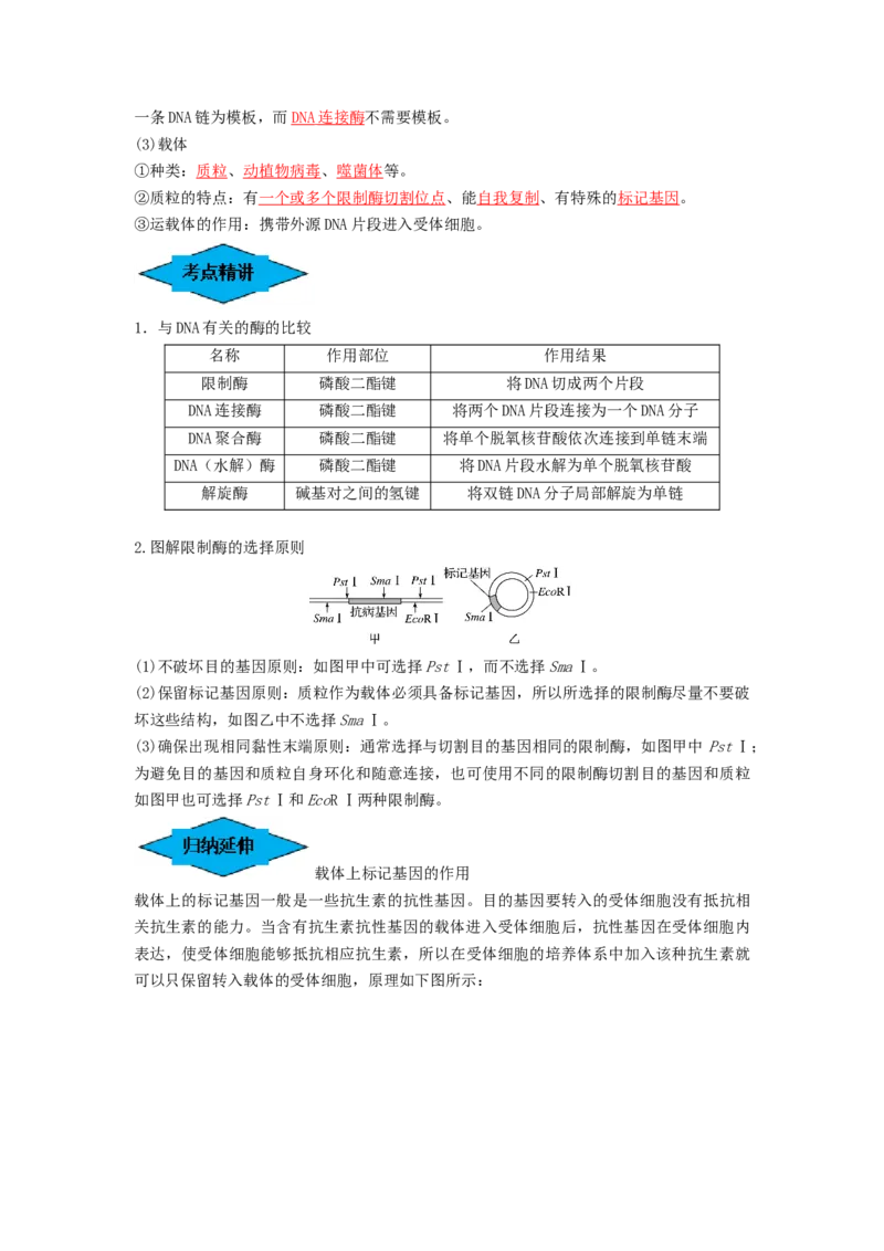 专题32基因工程（串讲）（解析版）_2024年新高考资料_1.2024一轮复习_备战2024年高考生物一轮复习串讲精练（新高考专用）