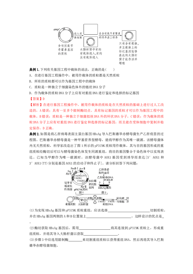 专题32基因工程（串讲）（解析版）_2024年新高考资料_1.2024一轮复习_备战2024年高考生物一轮复习串讲精练（新高考专用）