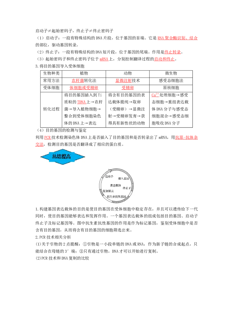 专题32基因工程（串讲）（解析版）_2024年新高考资料_1.2024一轮复习_备战2024年高考生物一轮复习串讲精练（新高考专用）