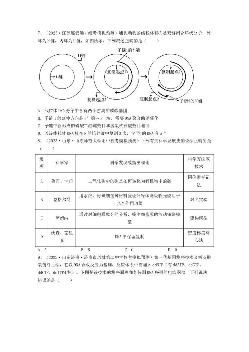 专题18DNA分子的结构、复制及基因的本质（精练）（原卷版）_2024年新高考资料_1.2024一轮复习_备战2024年高考生物一轮复习串讲精练（新高考专用）