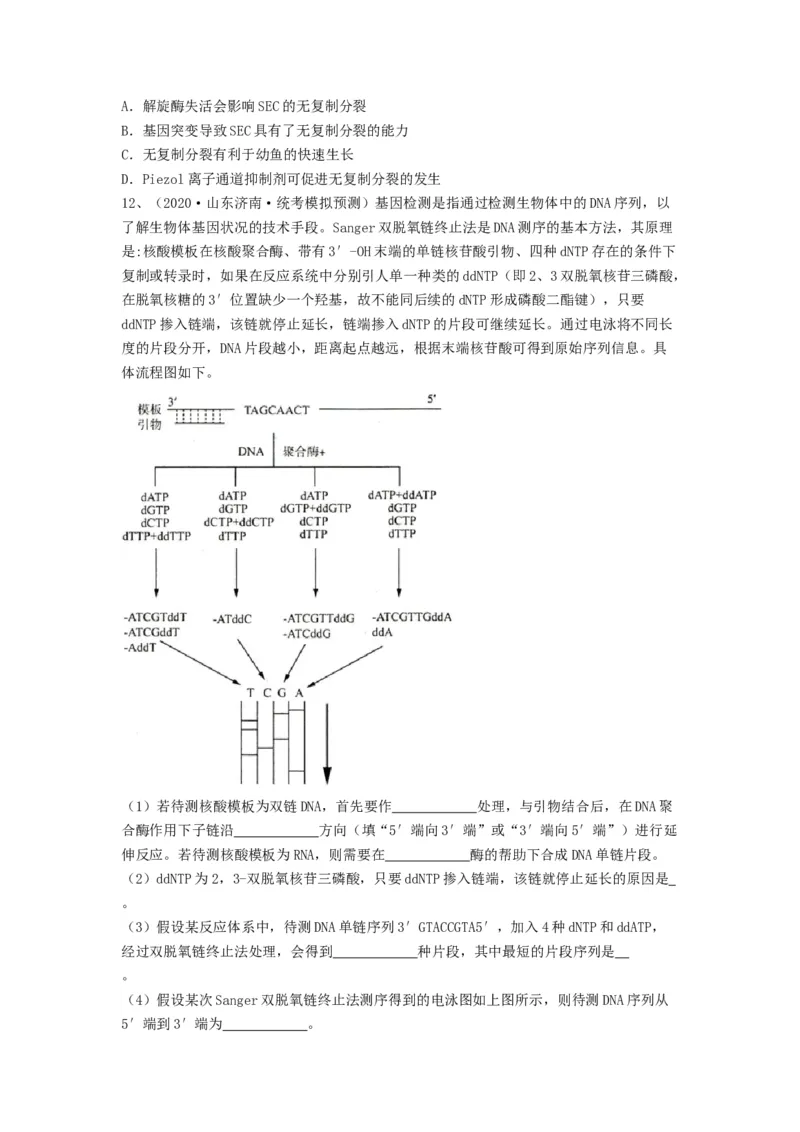 专题18DNA分子的结构、复制及基因的本质（精练）（原卷版）_2024年新高考资料_1.2024一轮复习_备战2024年高考生物一轮复习串讲精练（新高考专用）