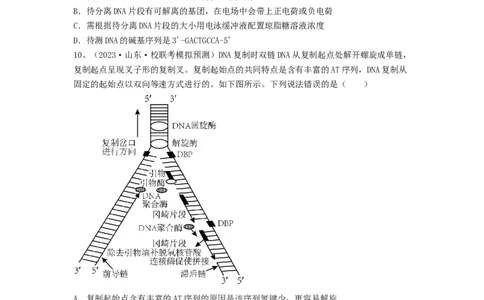专题18DNA分子的结构、复制及基因的本质（精练）（原卷版）_2024年新高考资料_1.2024一轮复习_备战2024年高考生物一轮复习串讲精练（新高考专用）