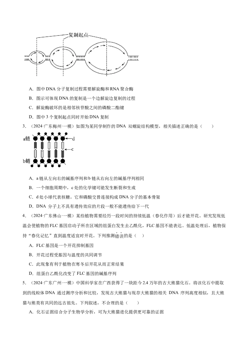 押广东卷选择题遗传的分子基础、变异和进化（原卷版）_2024年新高考资料_5.2024三轮冲刺_备战2024年高考生物临考题号押题（广东专用）323137816