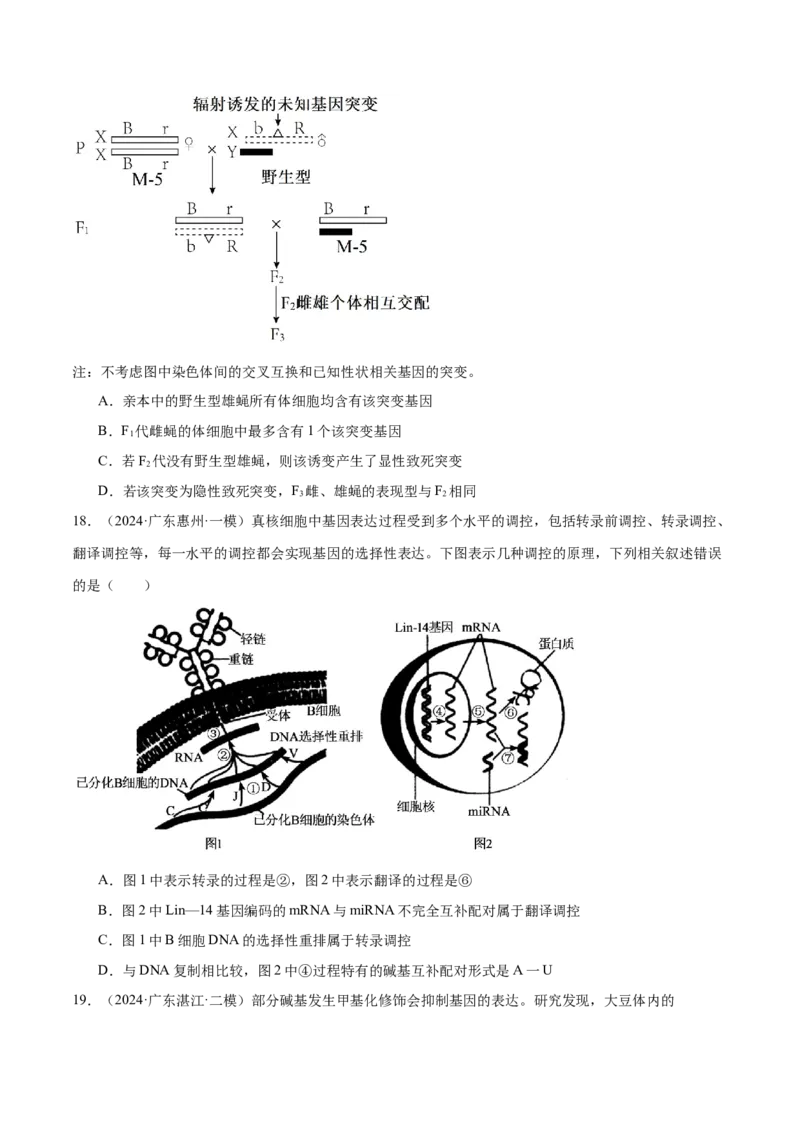 押广东卷选择题遗传的分子基础、变异和进化（原卷版）_2024年新高考资料_5.2024三轮冲刺_备战2024年高考生物临考题号押题（广东专用）323137816