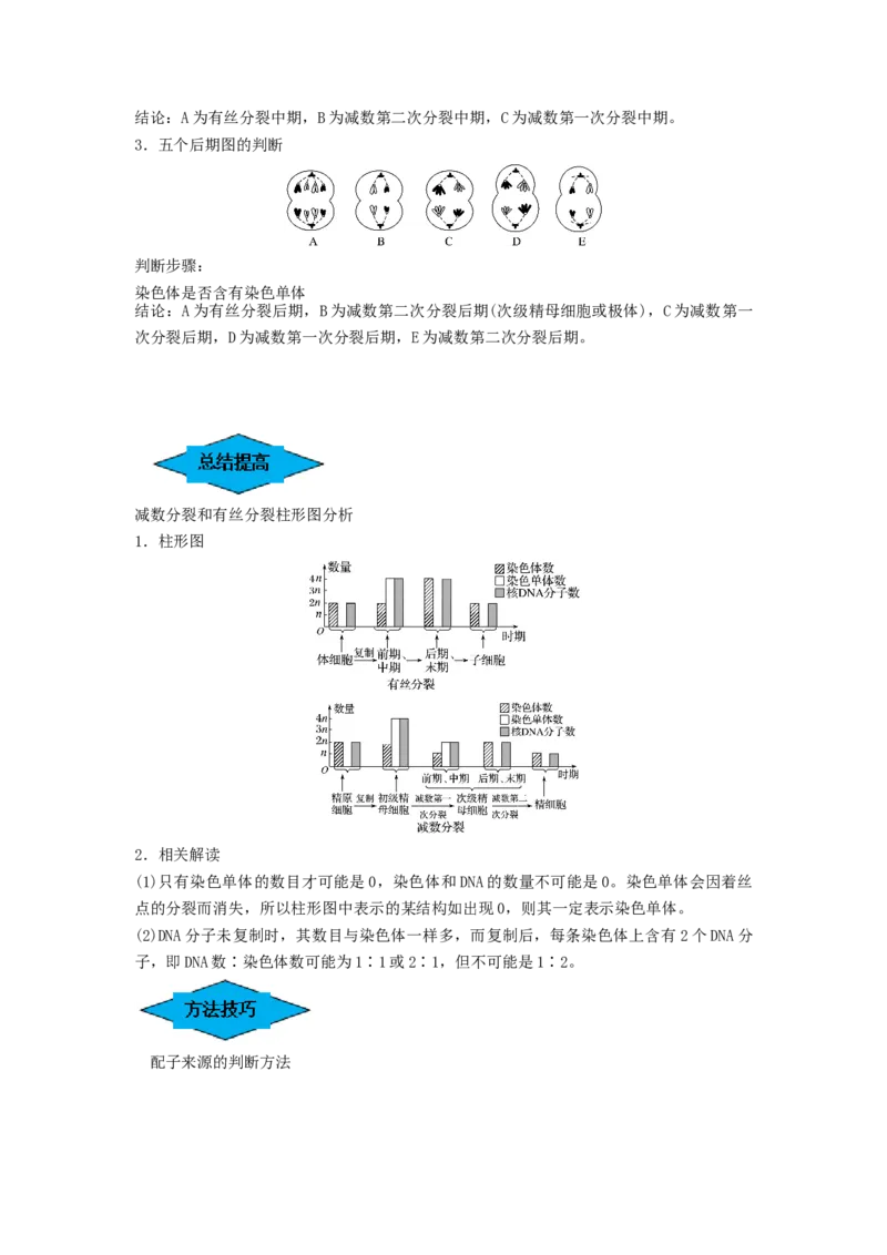 专题12减数分裂和受精作用（串讲）（解析版）_2024年新高考资料_1.2024一轮复习_备战2024年高考生物一轮复习串讲精练（新高考专用）
