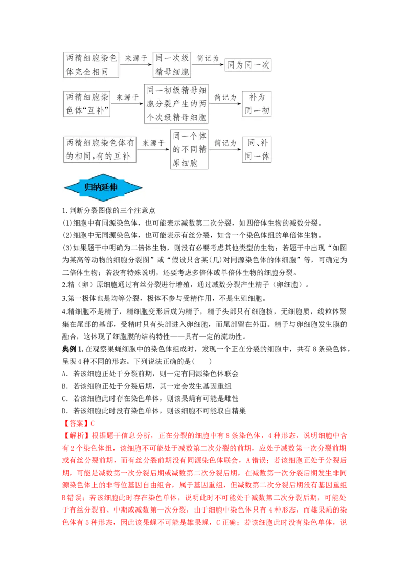 专题12减数分裂和受精作用（串讲）（解析版）_2024年新高考资料_1.2024一轮复习_备战2024年高考生物一轮复习串讲精练（新高考专用）