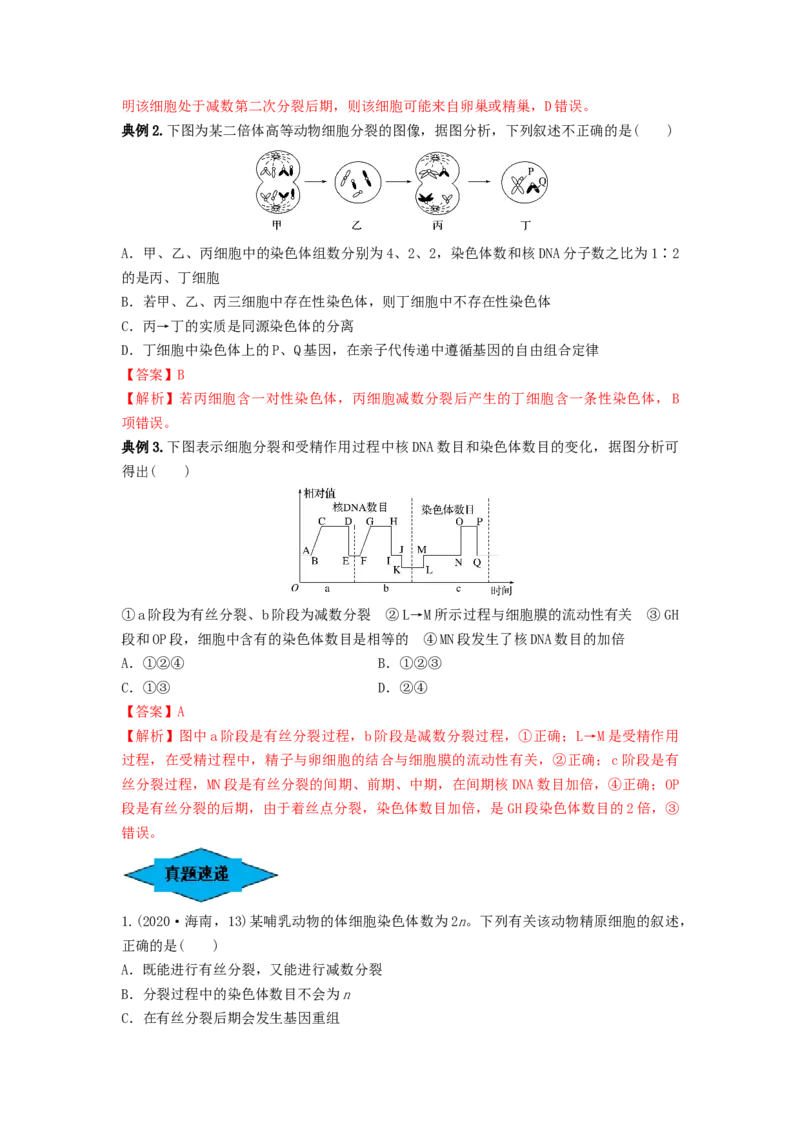 专题12减数分裂和受精作用（串讲）（解析版）_2024年新高考资料_1.2024一轮复习_备战2024年高考生物一轮复习串讲精练（新高考专用）