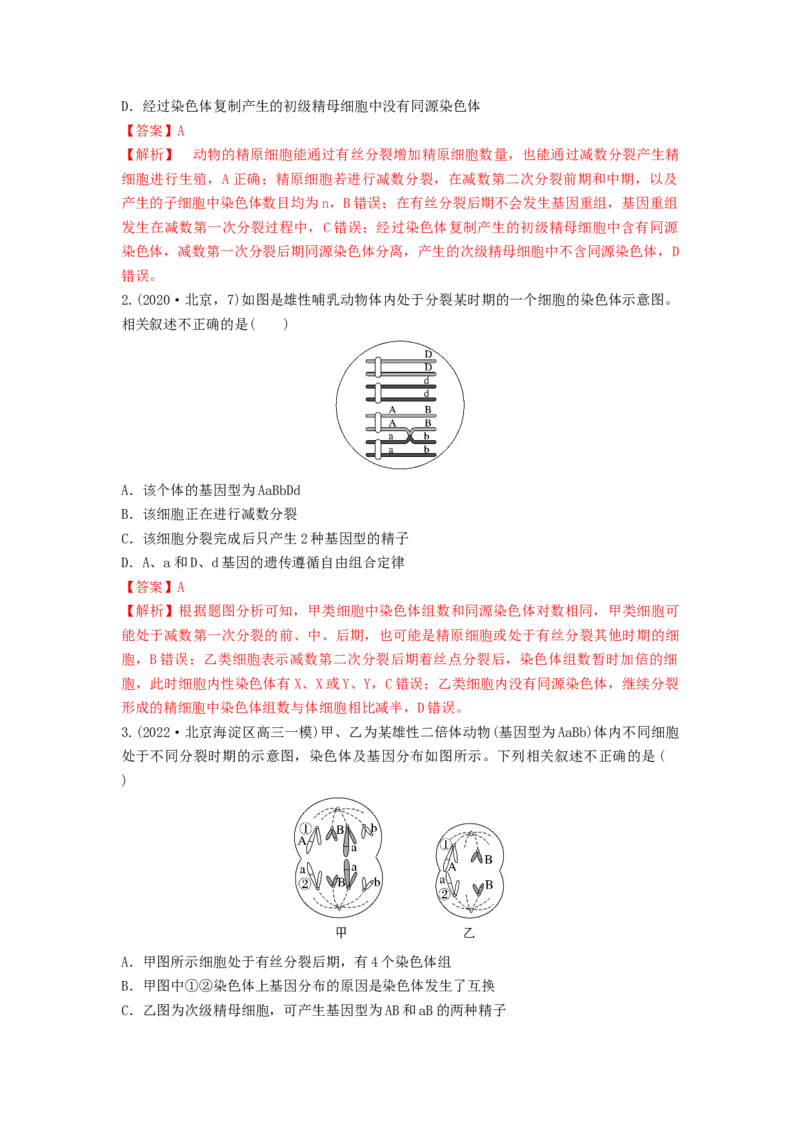 专题12减数分裂和受精作用（串讲）（解析版）_2024年新高考资料_1.2024一轮复习_备战2024年高考生物一轮复习串讲精练（新高考专用）