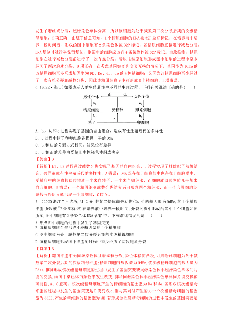专题12减数分裂和受精作用（串讲）（解析版）_2024年新高考资料_1.2024一轮复习_备战2024年高考生物一轮复习串讲精练（新高考专用）