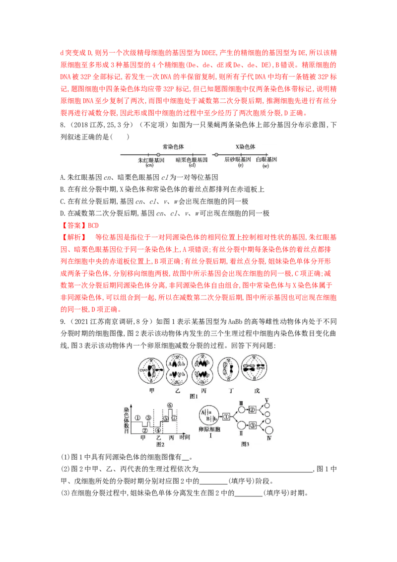 专题12减数分裂和受精作用（串讲）（解析版）_2024年新高考资料_1.2024一轮复习_备战2024年高考生物一轮复习串讲精练（新高考专用）