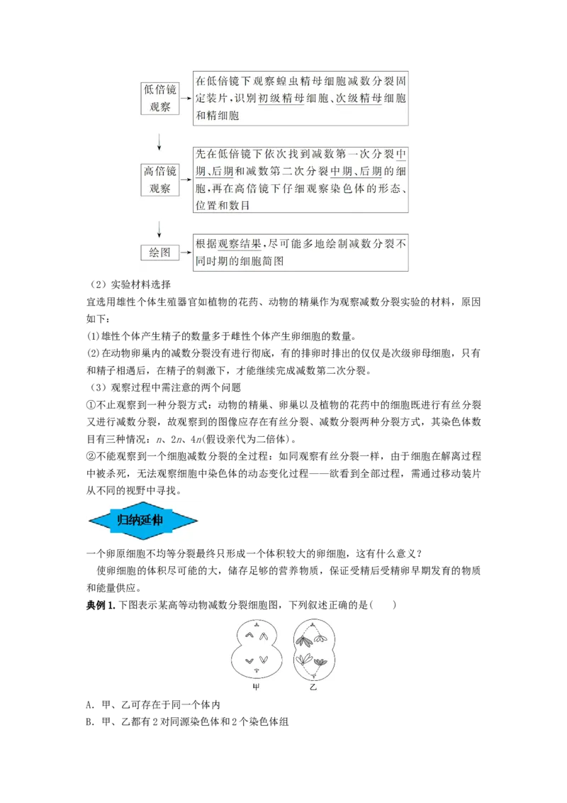 专题12减数分裂和受精作用（串讲）（解析版）_2024年新高考资料_1.2024一轮复习_备战2024年高考生物一轮复习串讲精练（新高考专用）