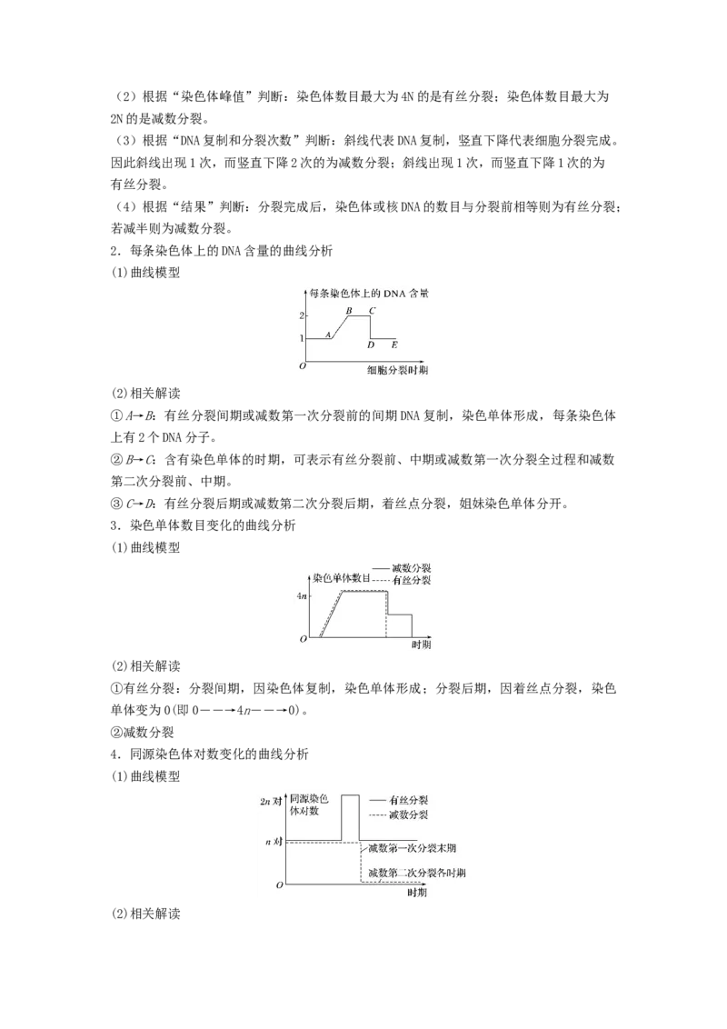 专题12减数分裂和受精作用（串讲）（解析版）_2024年新高考资料_1.2024一轮复习_备战2024年高考生物一轮复习串讲精练（新高考专用）
