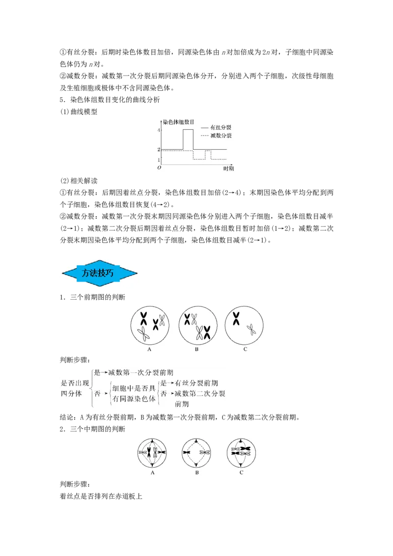 专题12减数分裂和受精作用（串讲）（解析版）_2024年新高考资料_1.2024一轮复习_备战2024年高考生物一轮复习串讲精练（新高考专用）