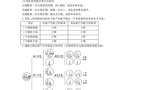 专题12减数分裂和受精作用（串讲）（解析版）_2024年新高考资料_1.2024一轮复习_备战2024年高考生物一轮复习串讲精练（新高考专用）