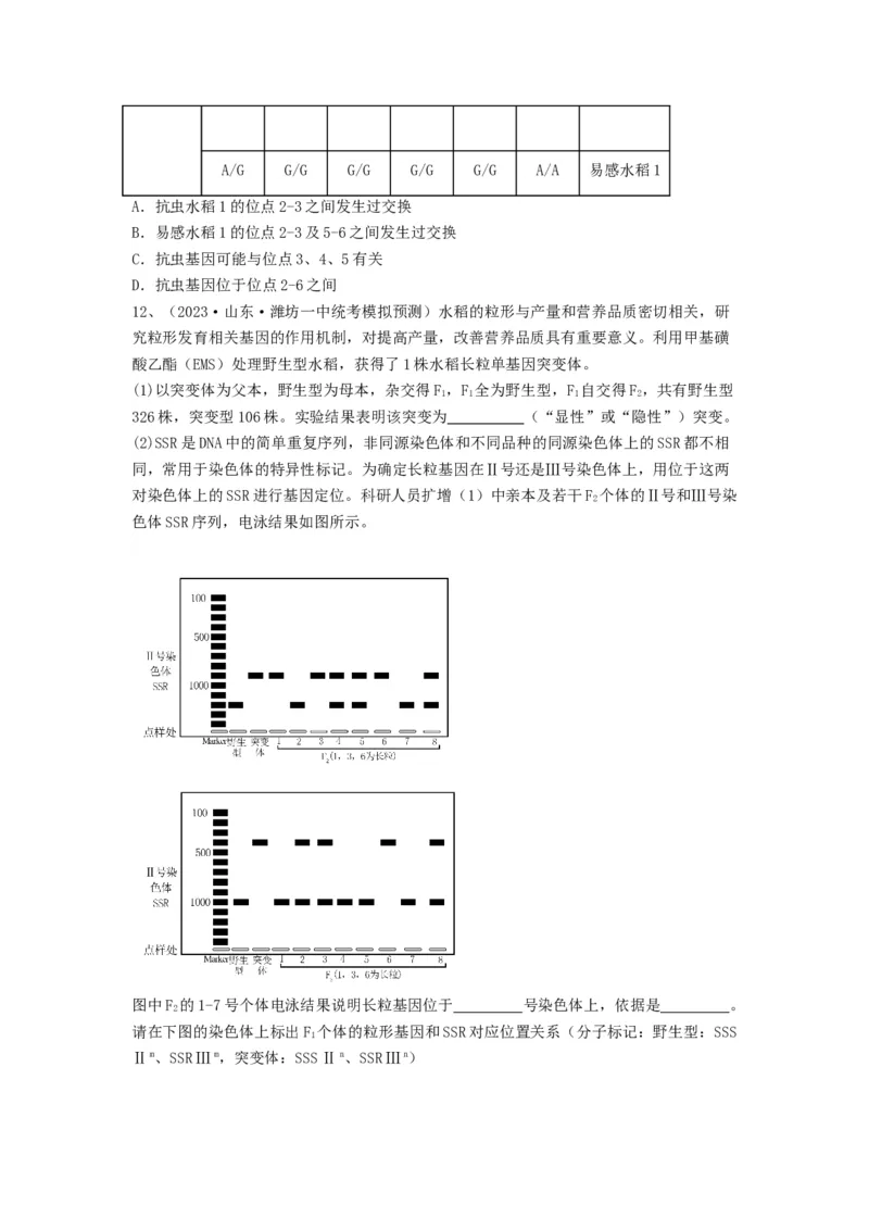 专题20基因突变和基因重组（精练）（原卷版）_2024年新高考资料_1.2024一轮复习_备战2024年高考生物一轮复习串讲精练（新高考专用）