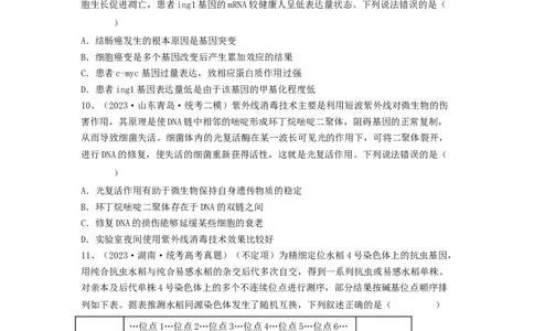 专题20基因突变和基因重组（精练）（原卷版）_2024年新高考资料_1.2024一轮复习_备战2024年高考生物一轮复习串讲精练（新高考专用）