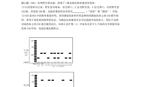 专题20基因突变和基因重组（精练）（原卷版）_2024年新高考资料_1.2024一轮复习_备战2024年高考生物一轮复习串讲精练（新高考专用）