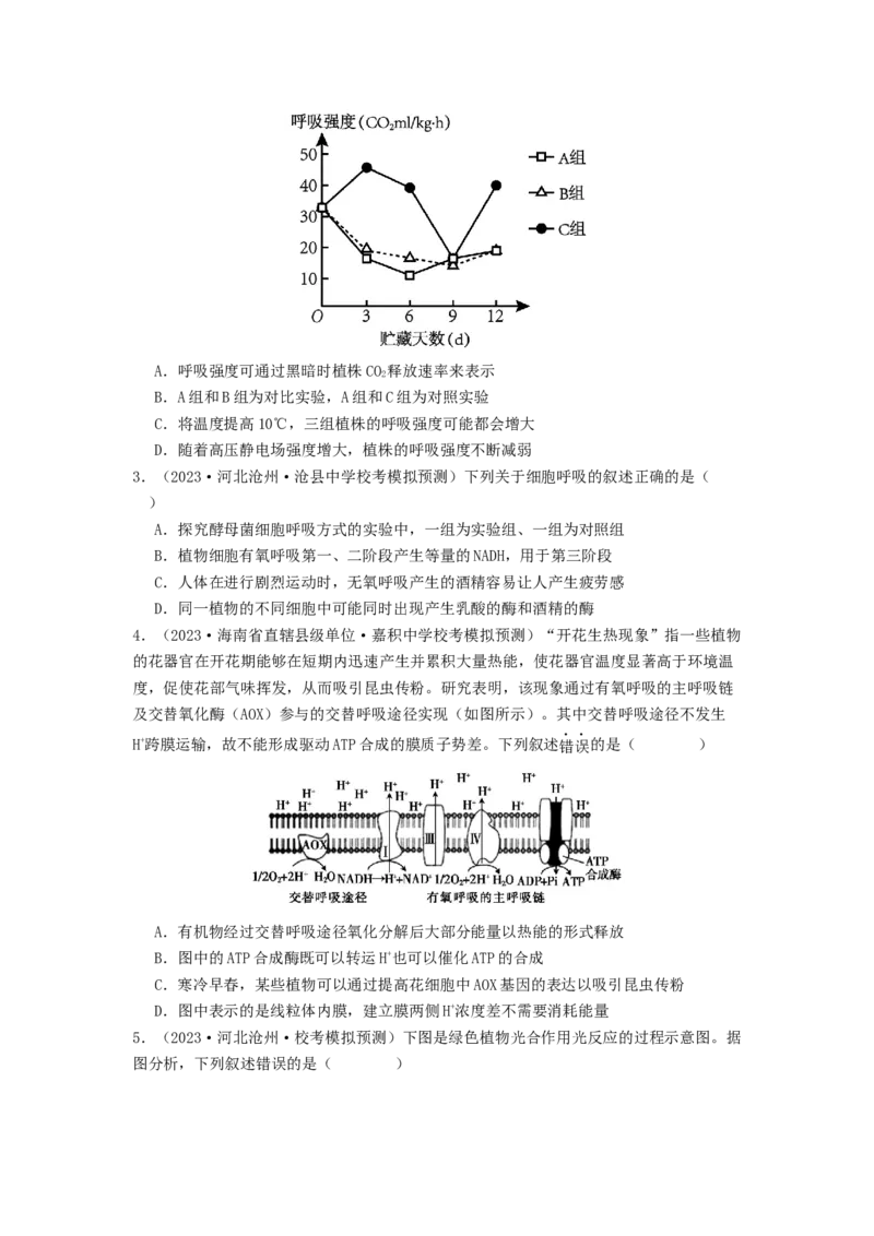 专题09光合作用和呼吸作用（原卷版）_2024年新高考资料_1.2024一轮复习_备战2024年高考生物一轮复习抢分特训（全国通用）