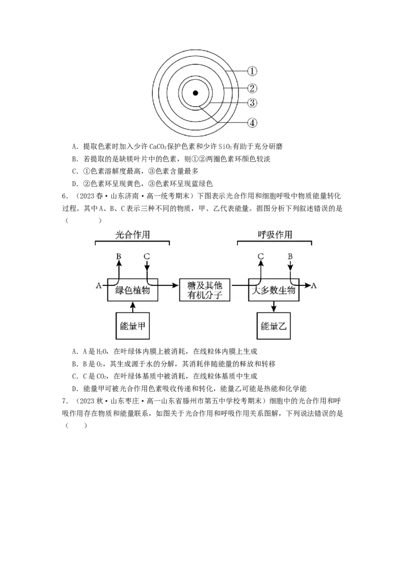 专题09光合作用和呼吸作用（原卷版）_2024年新高考资料_1.2024一轮复习_备战2024年高考生物一轮复习抢分特训（全国通用）