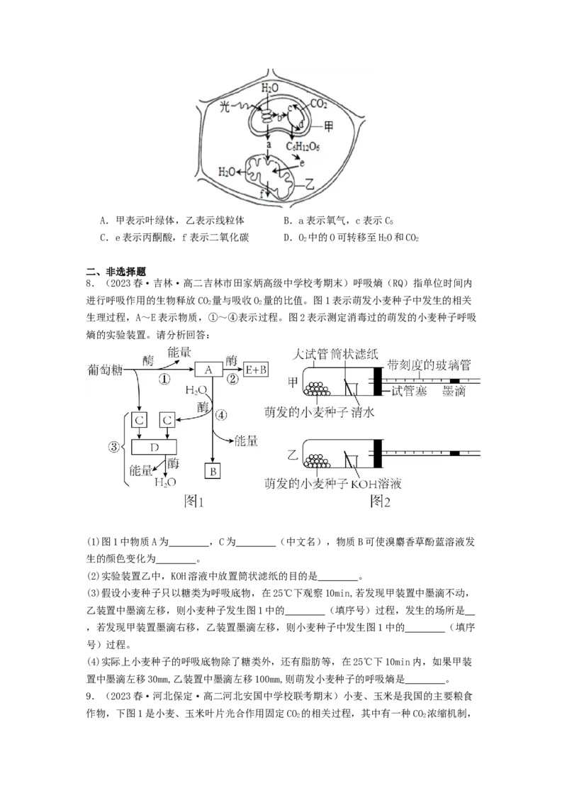 专题09光合作用和呼吸作用（原卷版）_2024年新高考资料_1.2024一轮复习_备战2024年高考生物一轮复习抢分特训（全国通用）