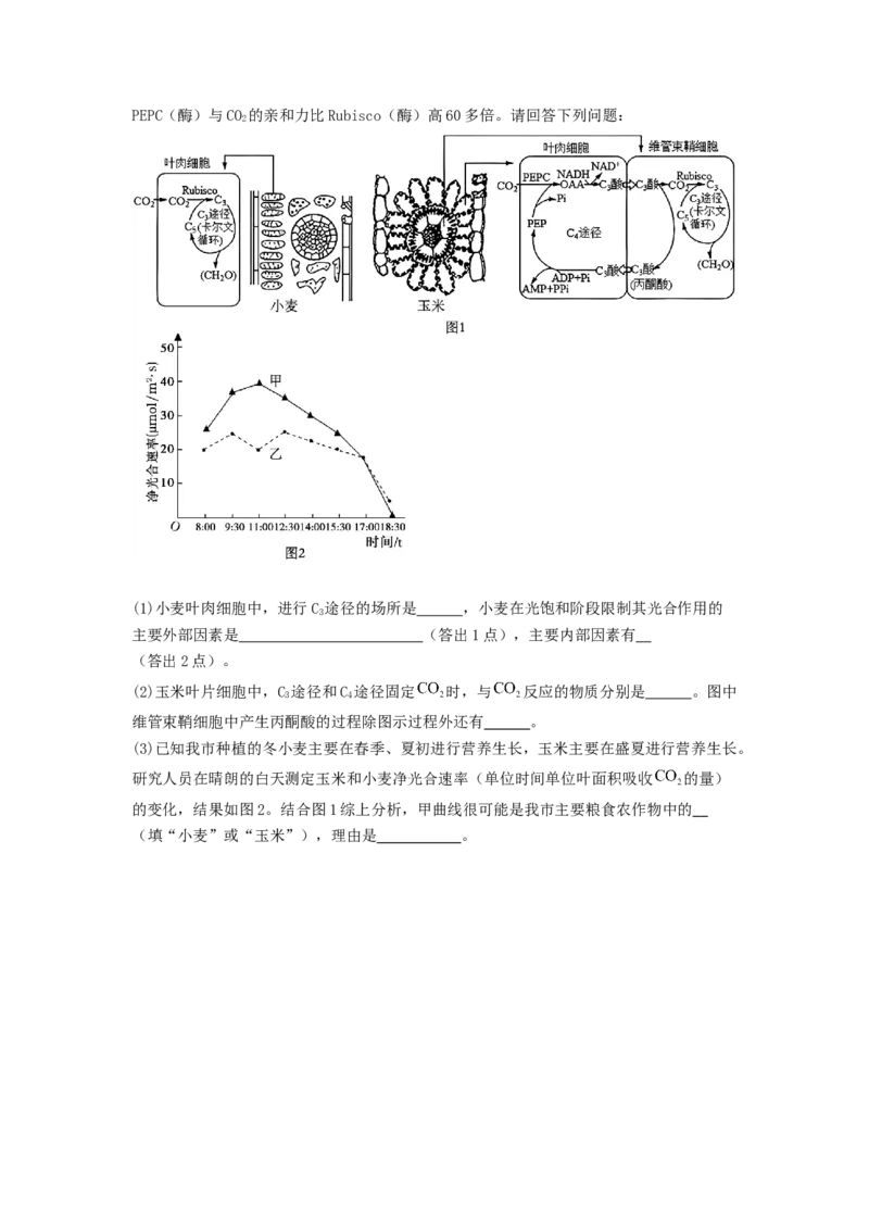 专题09光合作用和呼吸作用（原卷版）_2024年新高考资料_1.2024一轮复习_备战2024年高考生物一轮复习抢分特训（全国通用）