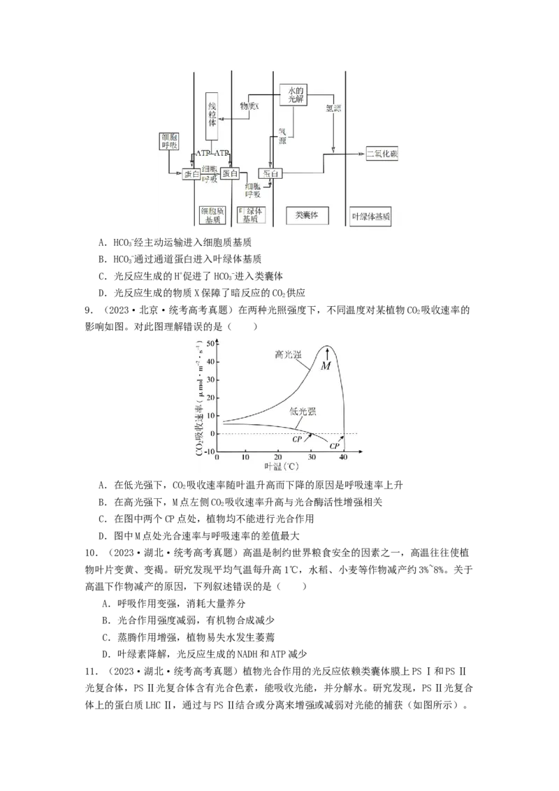 专题09光合作用和呼吸作用（原卷版）_2024年新高考资料_1.2024一轮复习_备战2024年高考生物一轮复习抢分特训（全国通用）