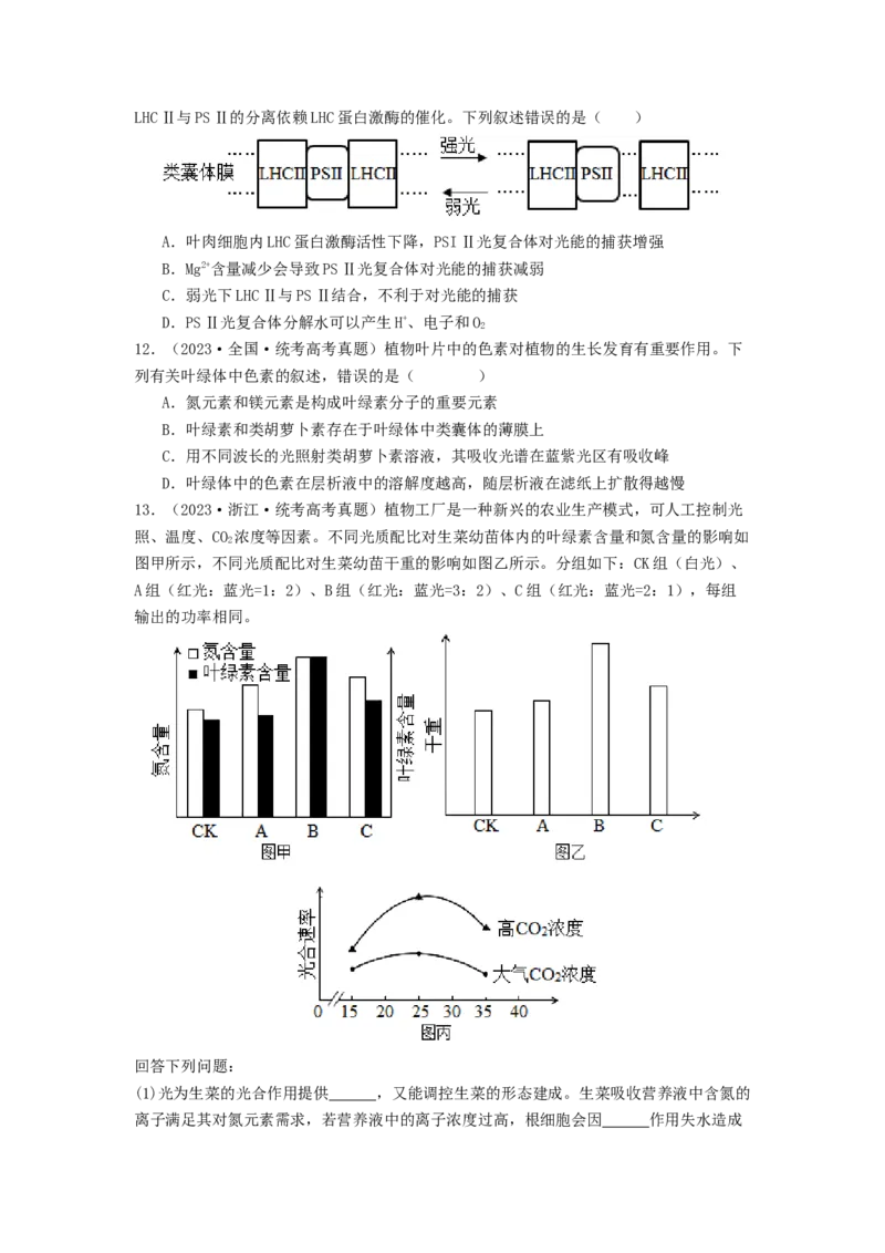 专题09光合作用和呼吸作用（原卷版）_2024年新高考资料_1.2024一轮复习_备战2024年高考生物一轮复习抢分特训（全国通用）