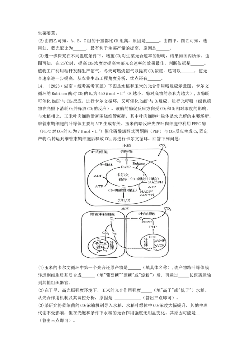 专题09光合作用和呼吸作用（原卷版）_2024年新高考资料_1.2024一轮复习_备战2024年高考生物一轮复习抢分特训（全国通用）