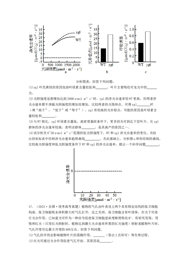 专题09光合作用和呼吸作用（原卷版）_2024年新高考资料_1.2024一轮复习_备战2024年高考生物一轮复习抢分特训（全国通用）