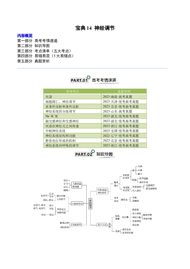 宝典14神经调节（原卷版）_2024年新高考资料_1.2024一轮复习_2024年高考生物一轮复习知识清单