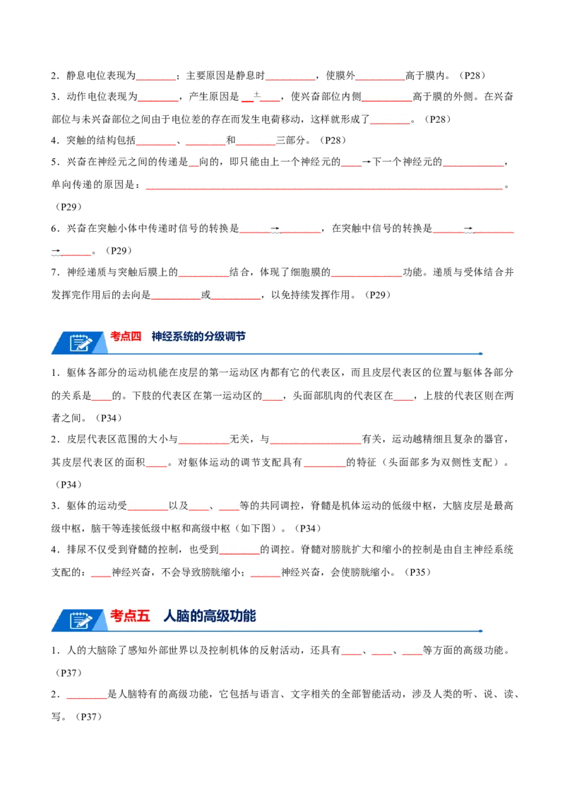 宝典14神经调节（原卷版）_2024年新高考资料_1.2024一轮复习_2024年高考生物一轮复习知识清单