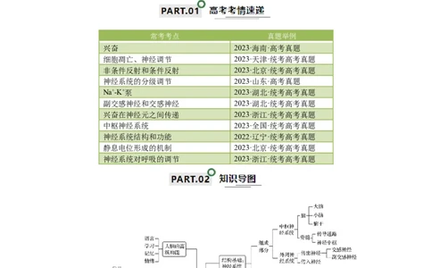 宝典14神经调节（原卷版）_2024年新高考资料_1.2024一轮复习_2024年高考生物一轮复习知识清单
