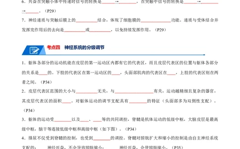 宝典14神经调节（原卷版）_2024年新高考资料_1.2024一轮复习_2024年高考生物一轮复习知识清单