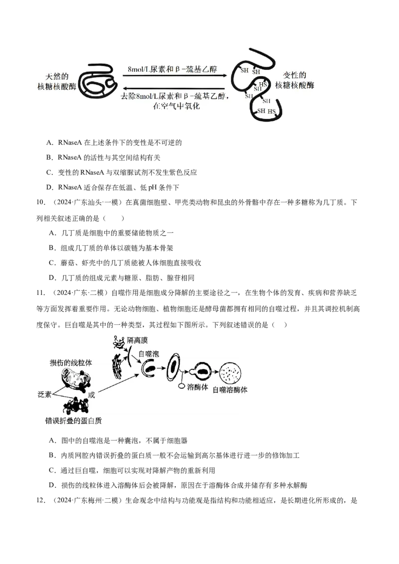 押广东卷选择题细胞的物质基础和结构基础（原卷版）_2024年新高考资料_5.2024三轮冲刺_备战2024年高考生物临考题号押题（广东专用）323137816
