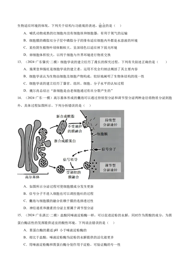 押广东卷选择题细胞的物质基础和结构基础（原卷版）_2024年新高考资料_5.2024三轮冲刺_备战2024年高考生物临考题号押题（广东专用）323137816