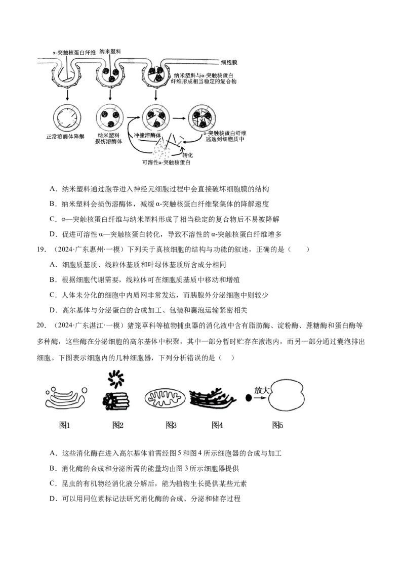 押广东卷选择题细胞的物质基础和结构基础（原卷版）_2024年新高考资料_5.2024三轮冲刺_备战2024年高考生物临考题号押题（广东专用）323137816