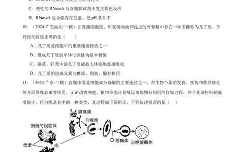 押广东卷选择题细胞的物质基础和结构基础（原卷版）_2024年新高考资料_5.2024三轮冲刺_备战2024年高考生物临考题号押题（广东专用）323137816