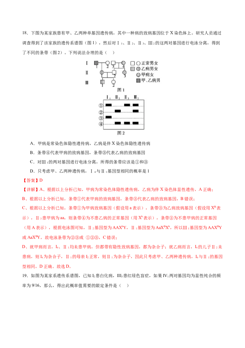 专题四遗传的基本规律和人类遗传病（测试）（解析版）_2024年新高考资料_2.2024二轮复习_2024年高考生物二轮复习讲练测（新教材新高考）