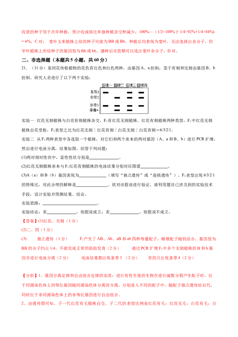 专题四遗传的基本规律和人类遗传病（测试）（解析版）_2024年新高考资料_2.2024二轮复习_2024年高考生物二轮复习讲练测（新教材新高考）