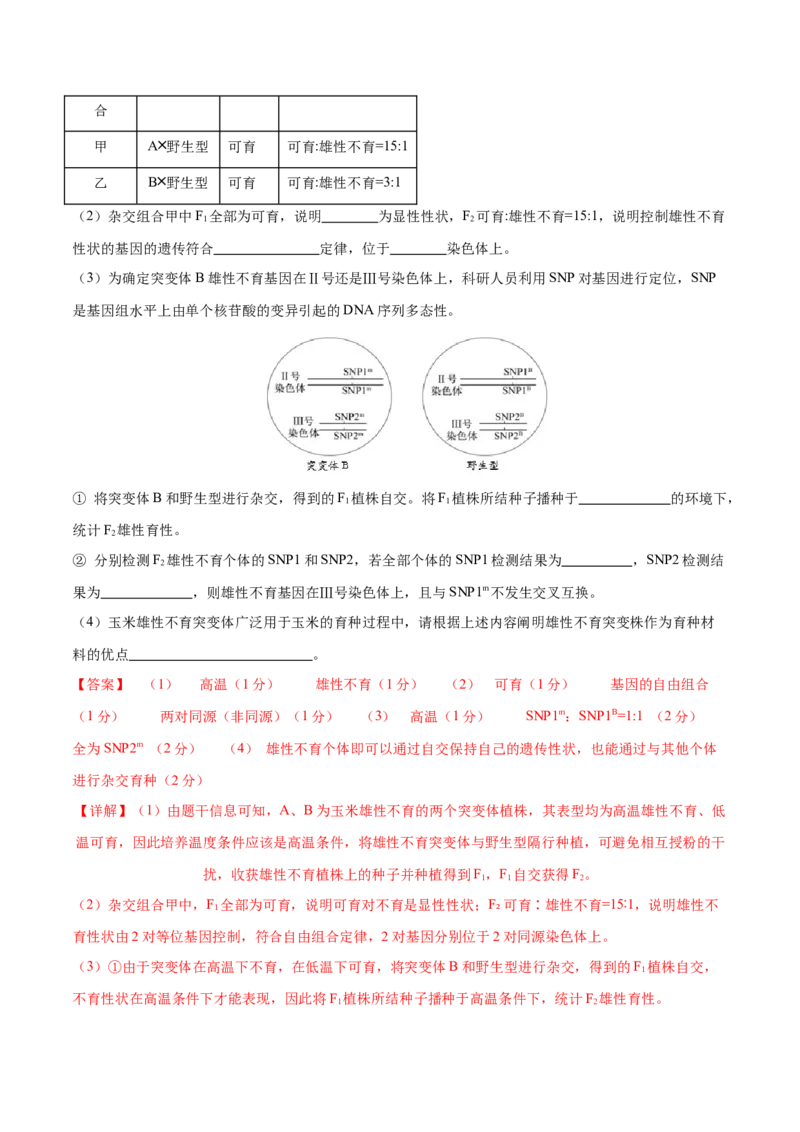 专题四遗传的基本规律和人类遗传病（测试）（解析版）_2024年新高考资料_2.2024二轮复习_2024年高考生物二轮复习讲练测（新教材新高考）