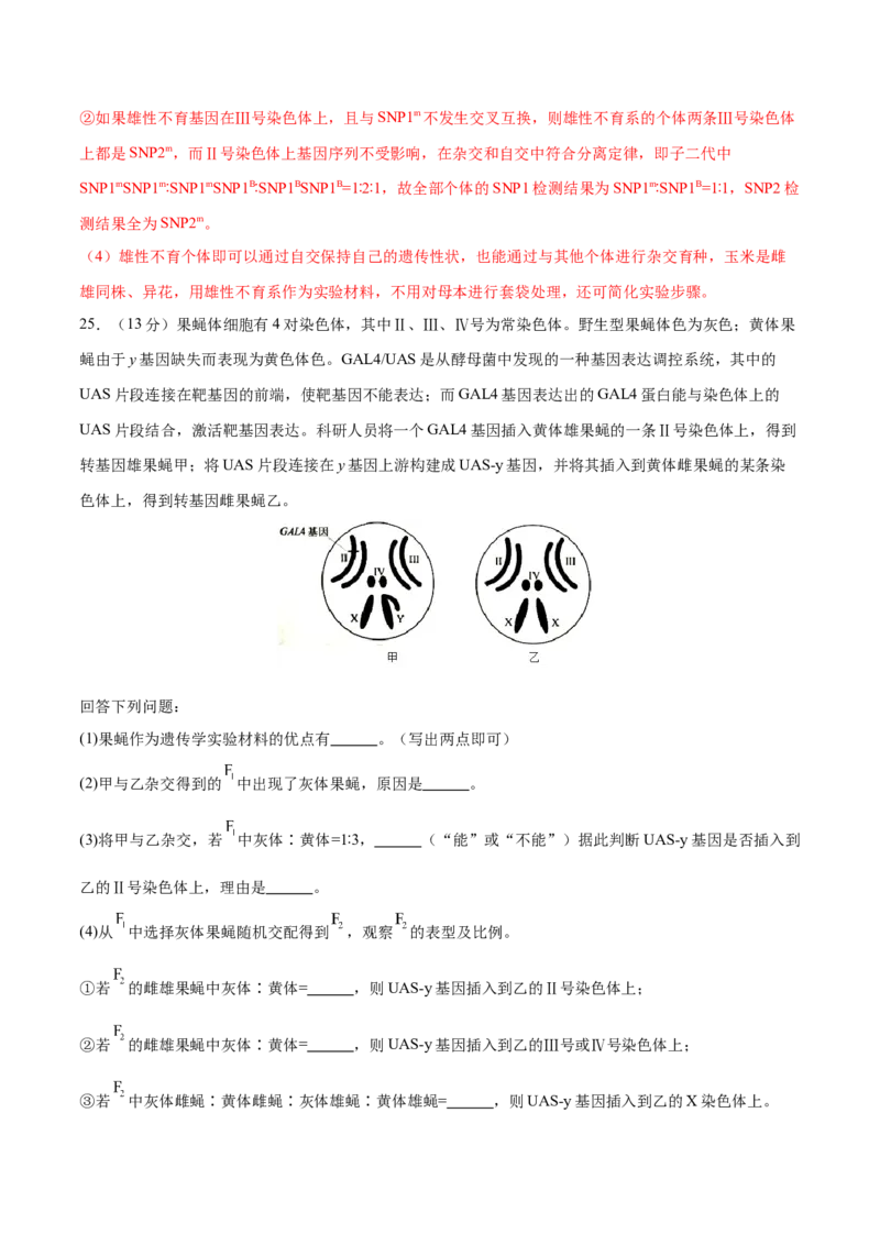 专题四遗传的基本规律和人类遗传病（测试）（解析版）_2024年新高考资料_2.2024二轮复习_2024年高考生物二轮复习讲练测（新教材新高考）